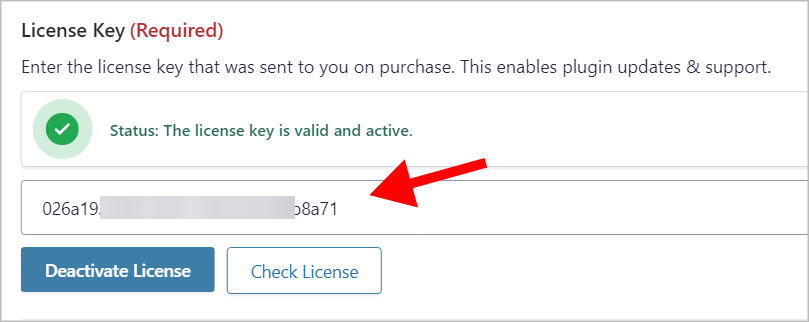 The GravityView license key input box with a license key inside