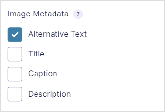 Alternative Text enabled under Image Metadata